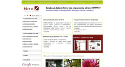 Desktop Screenshot of netsi.pl